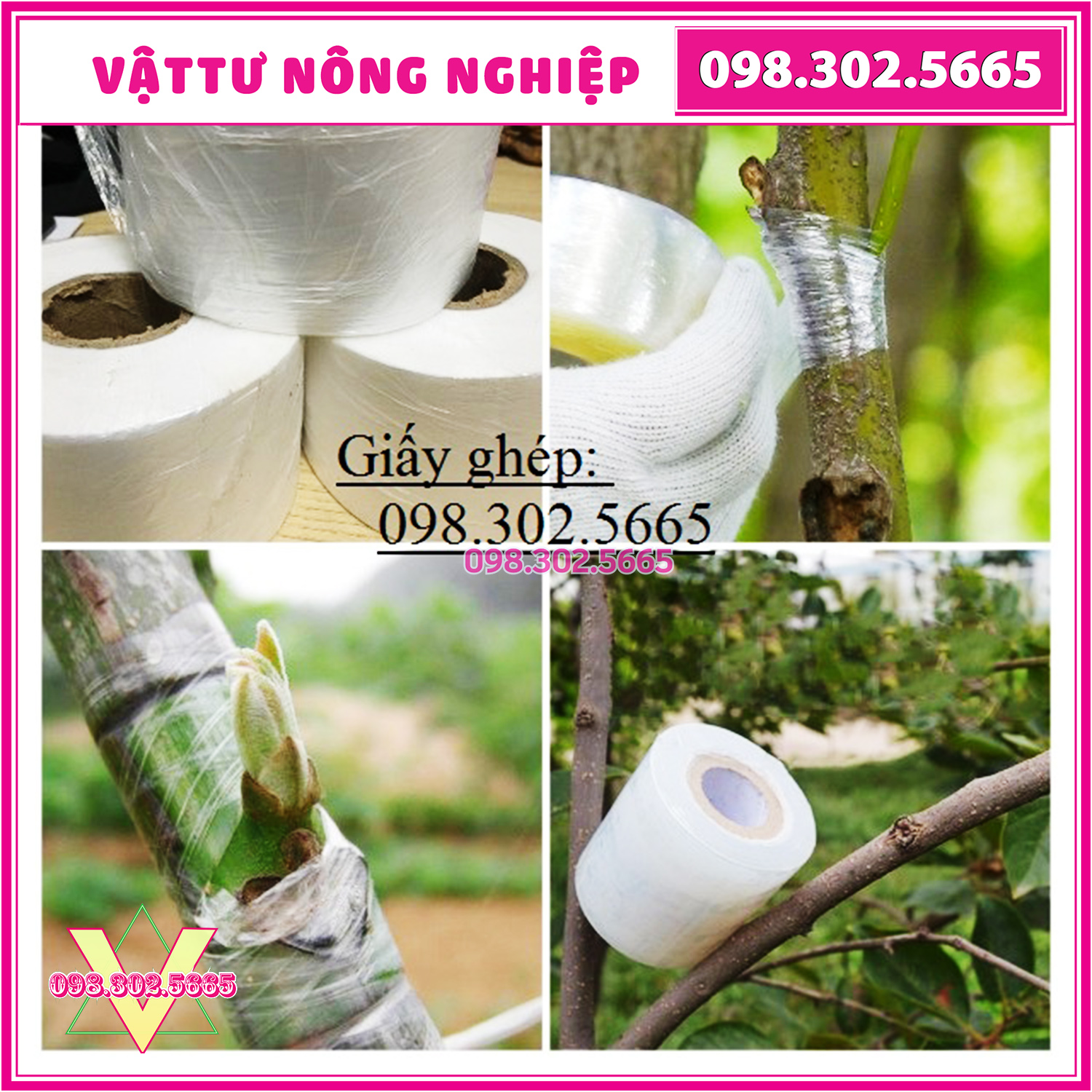 Giấy ghép cây nilong tự hủy - khổ 5cm