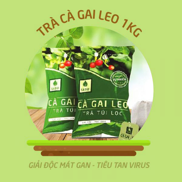 TRÀ CÀ GAI LEO SADU TÚI LỌC có khả năng tăng hiệu quả làm giảm viêm gan