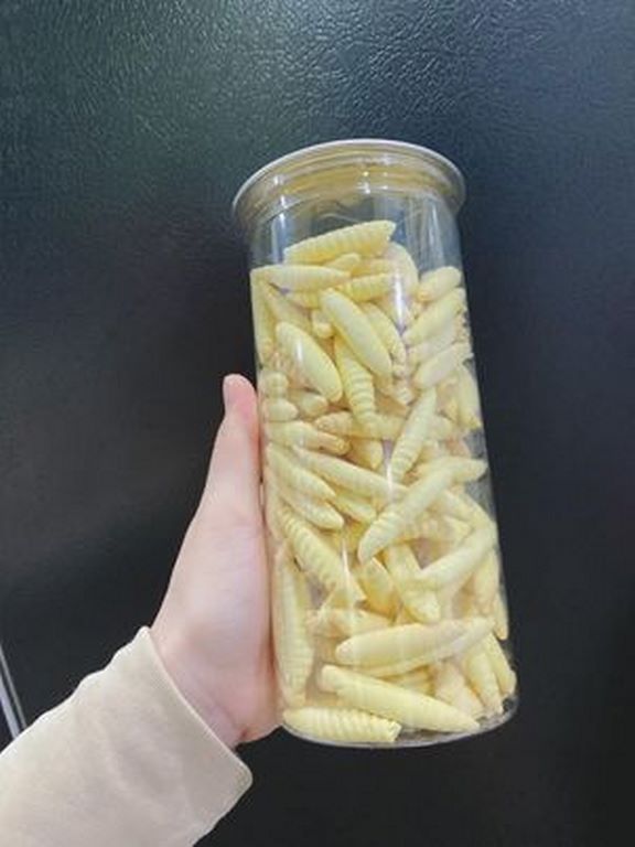 Bánh Sùng Sầu Riêng Lon Pet 300G