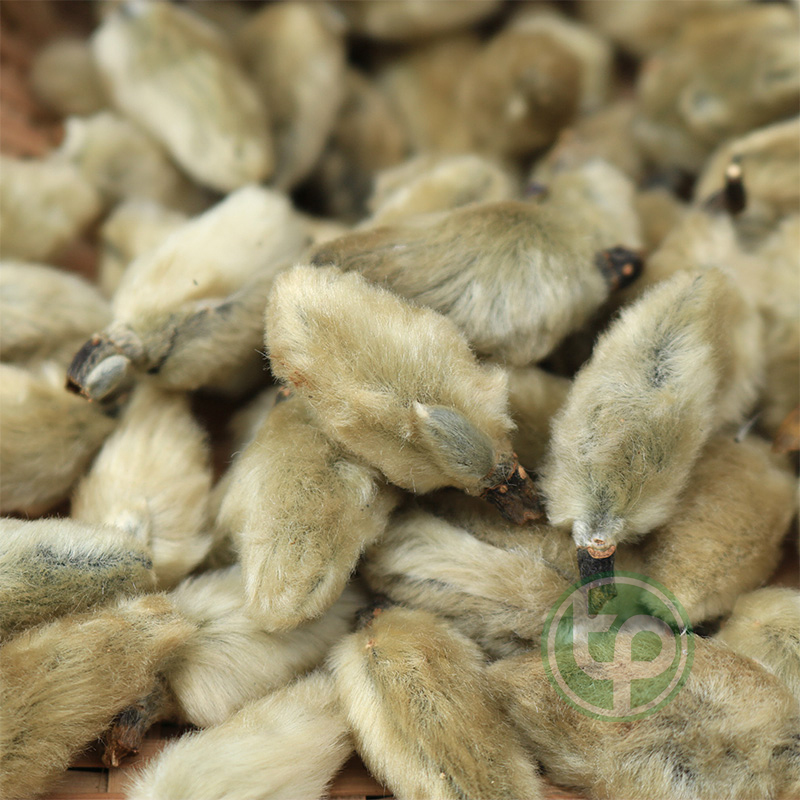 [Hàng mới về] Tân di hoa khô 500g - Tấn Phát - hàng sạch chuyên dùng để pha trà