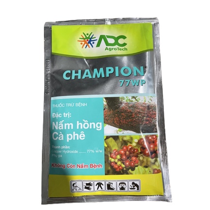 Champion 77Wp Pesticide (100g)