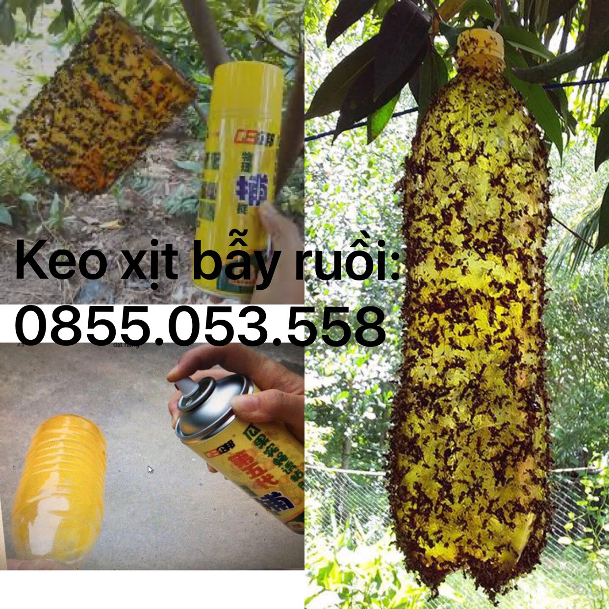 Keo Bẫy Ruồi Vàng dạng chai xịt 450ml tiện dụng - Hiệu quả ngay lần đầu, an toàn cho người sử dụng