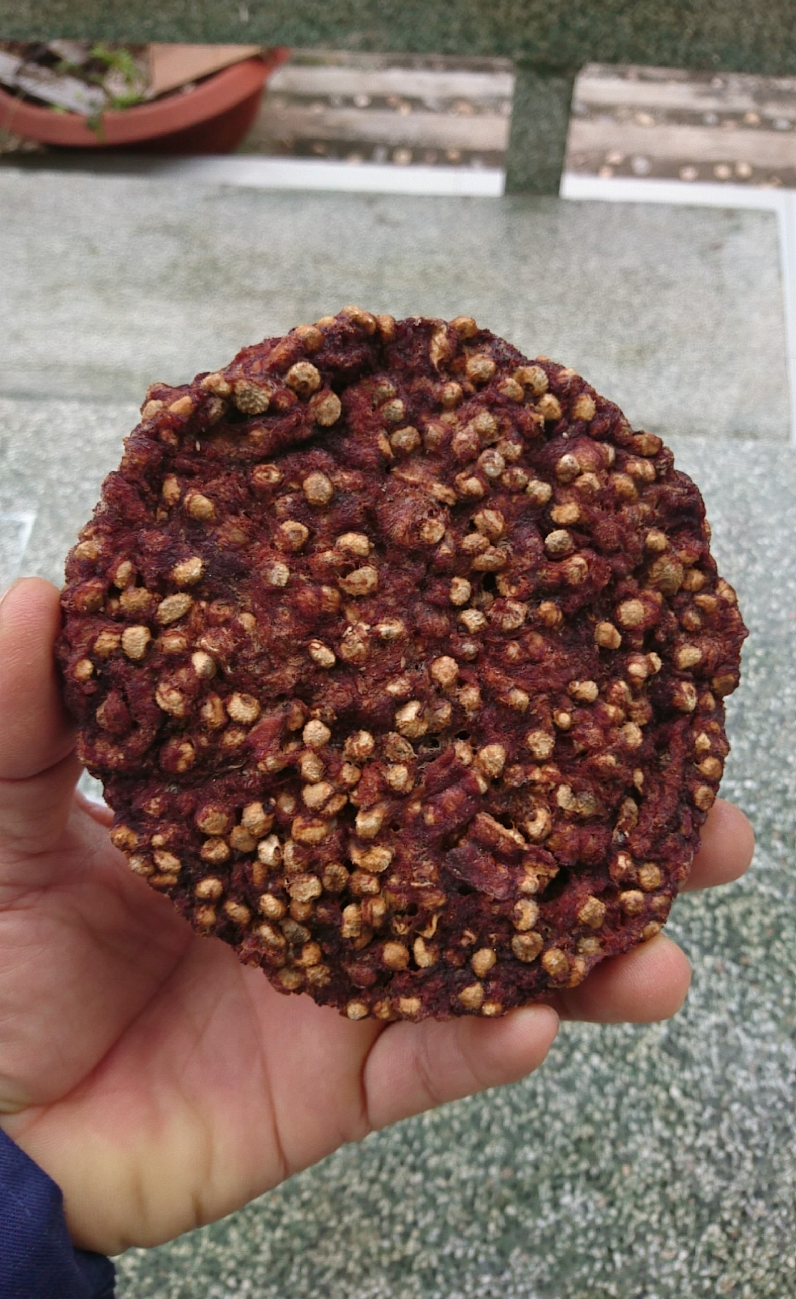 5kg Chuối hột Khô CAO CẤP