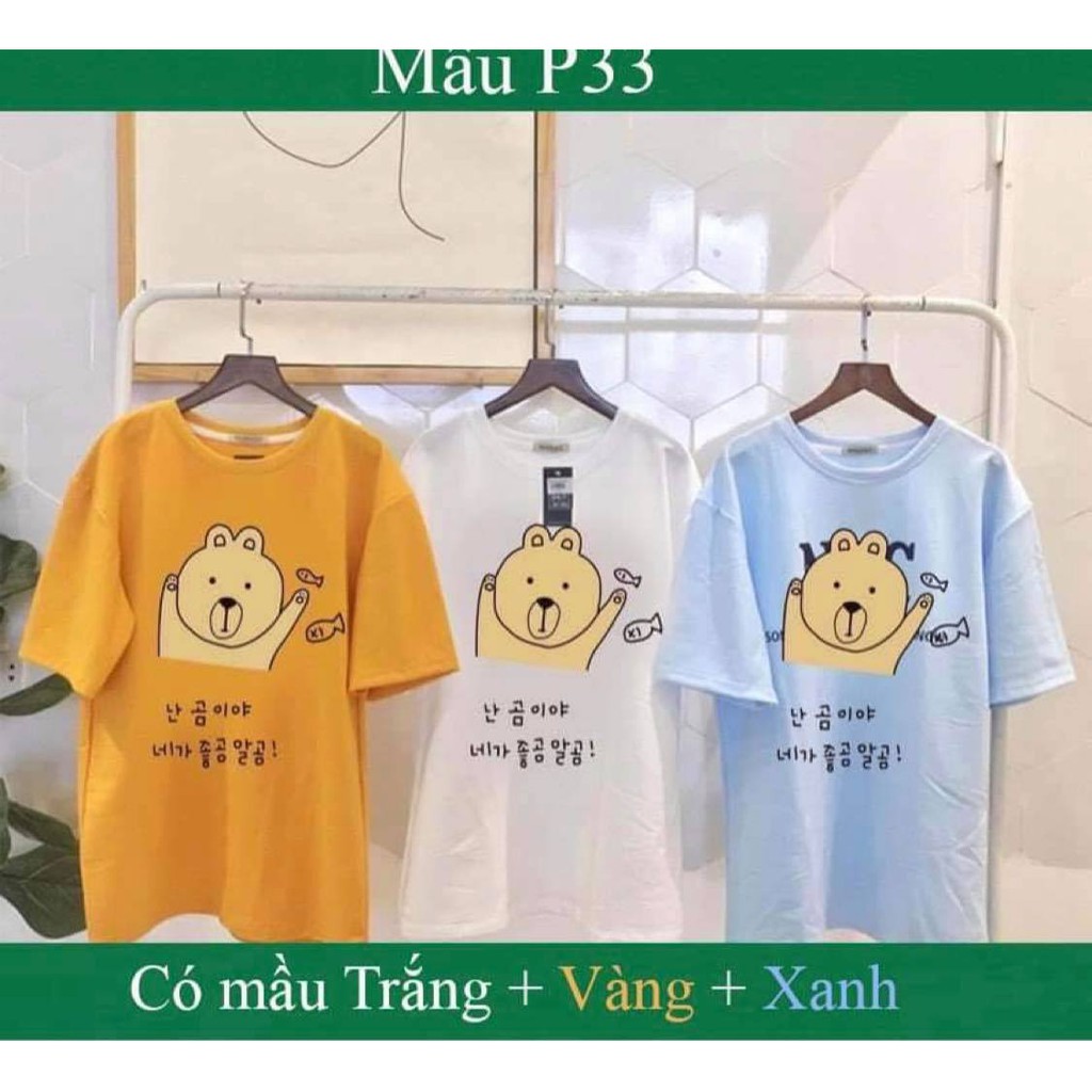 [Freeship Max]-MIỄM SHIP_ÁO PHONG NỮ GIÁ RẺ-(BonShop_Quần Áo Trẻ Em Giá Rẻ)