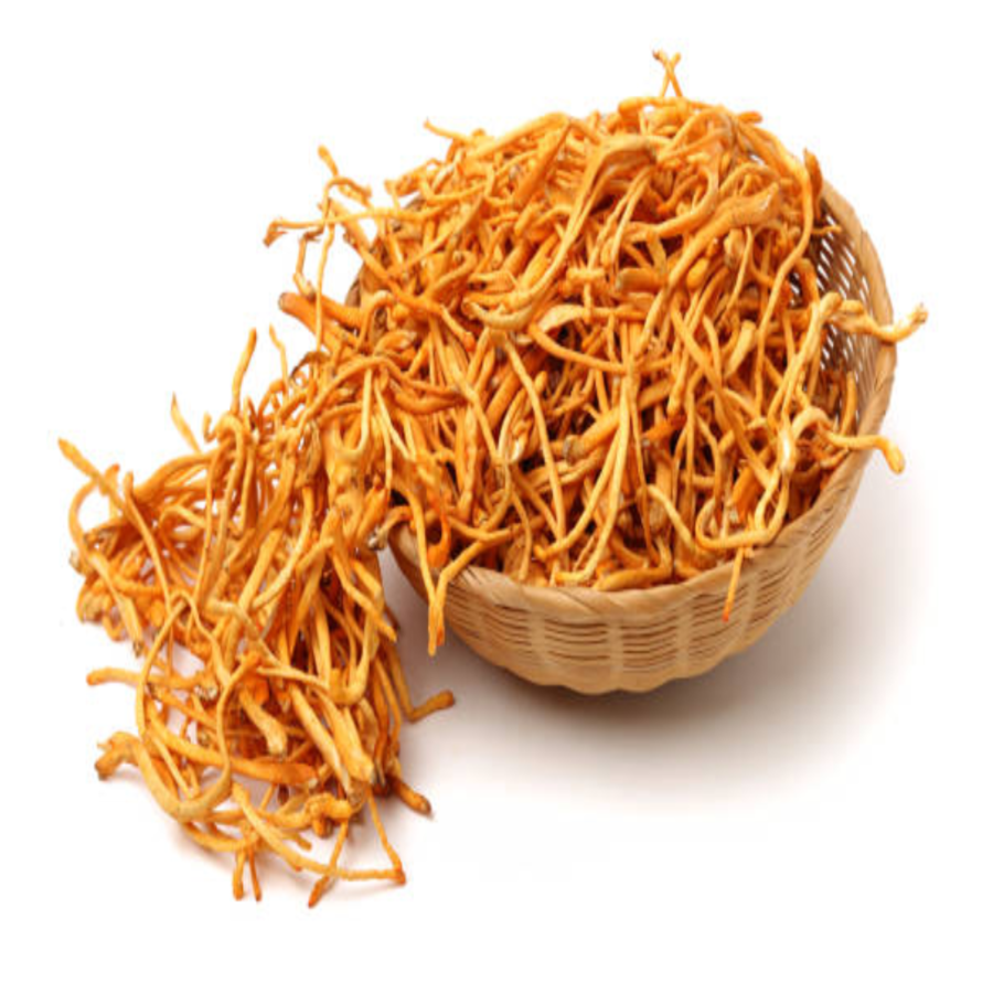 ĐÔNG TRÙNG HẠ THẢO KHÔ 0-1KG