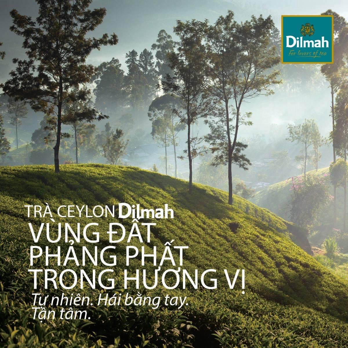 Trà Dilmah Thảo Dược Bạc Hà - Pepermint 30g