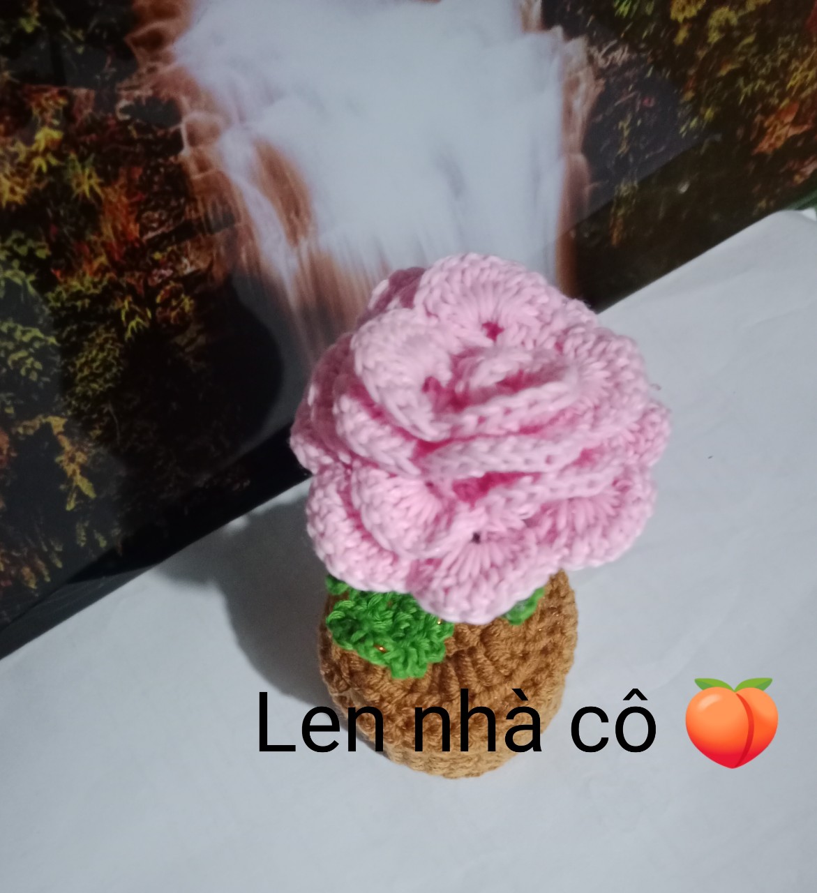 Hoa Hồng Len Handmade