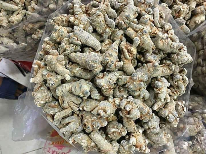 Củ Tam Thất Bắc 1Kg Hàng 70 Củ