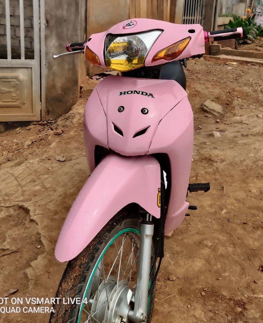 Tem Rời WAVE ALPHA 100cc - 50cc Hồng Phấn Chữ X MS 612137 - Tem Chế 3 Lớp Cao Cấp