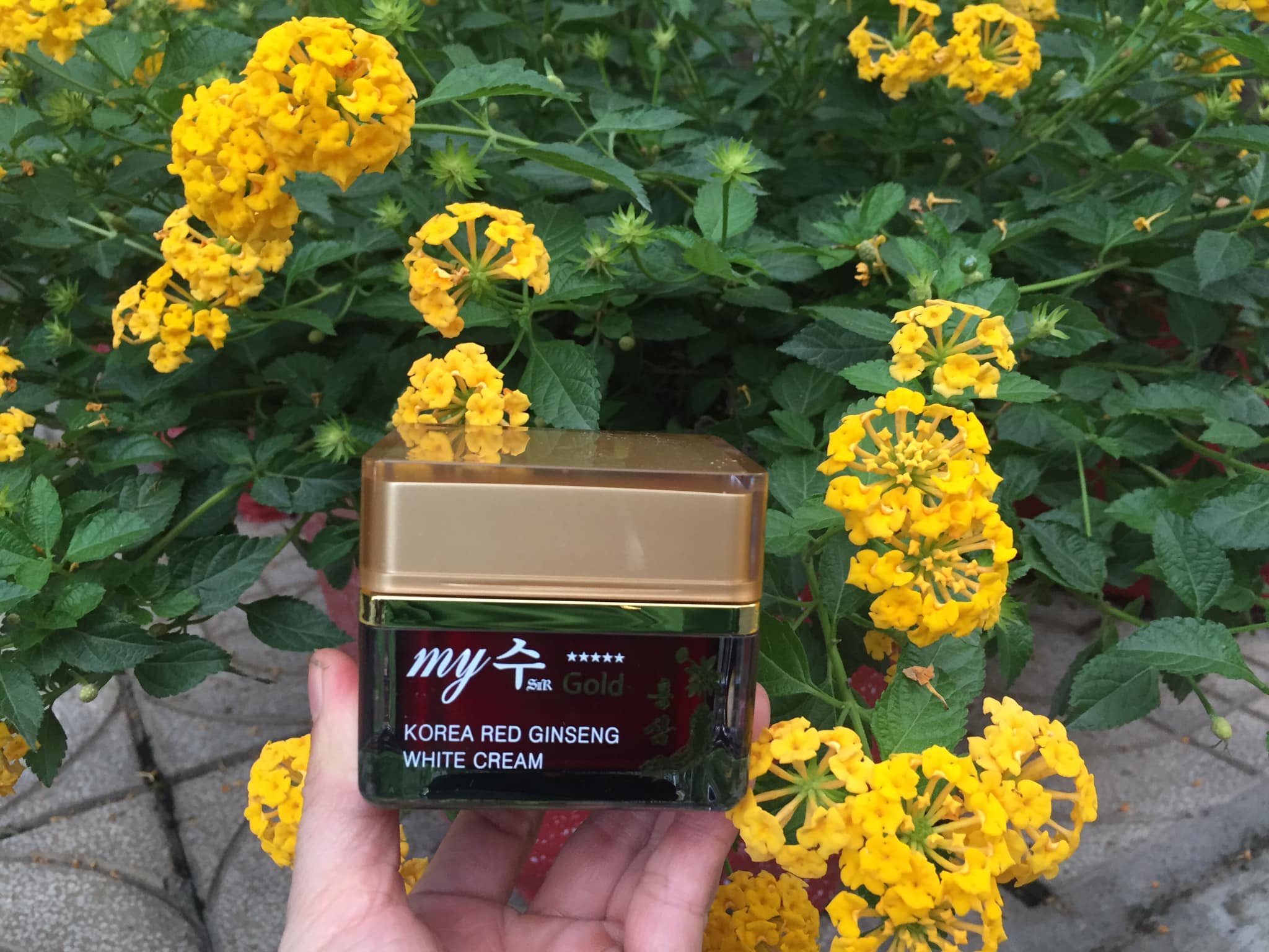 Kem sâm Hàn Quốc My Gold trắng da 50 ml