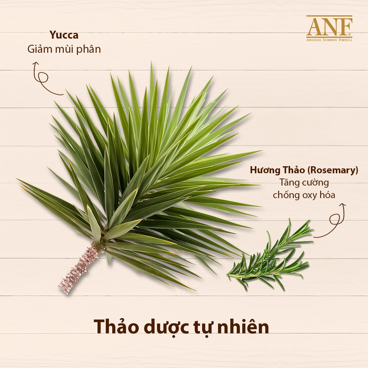 [1.6KG] ANF 6FREE+ Thức Ăn Hạt Hữu Cơ Cao Cấp Dành Cho Chó Mọi Lứa Tuổi
