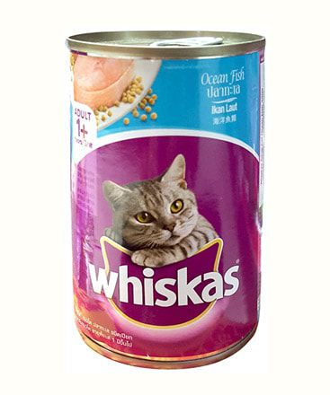 6 Hộp Thức Ăn Cho Mèo Pate Whiskas