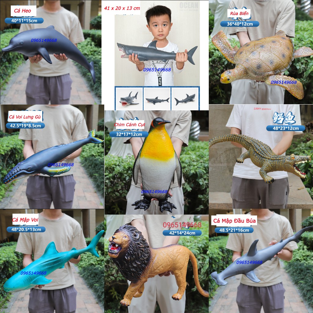 Đồ chơi mô hình cá mập đầu búa, cá mập voi, cá mập trắng (Hàng Sẵn)