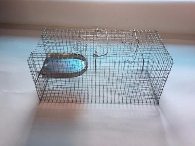 Bẫy chuột thông minh bẫy nhiều con trong 1 lần, tặng kèm hộp thuốc diệt chuột killrat