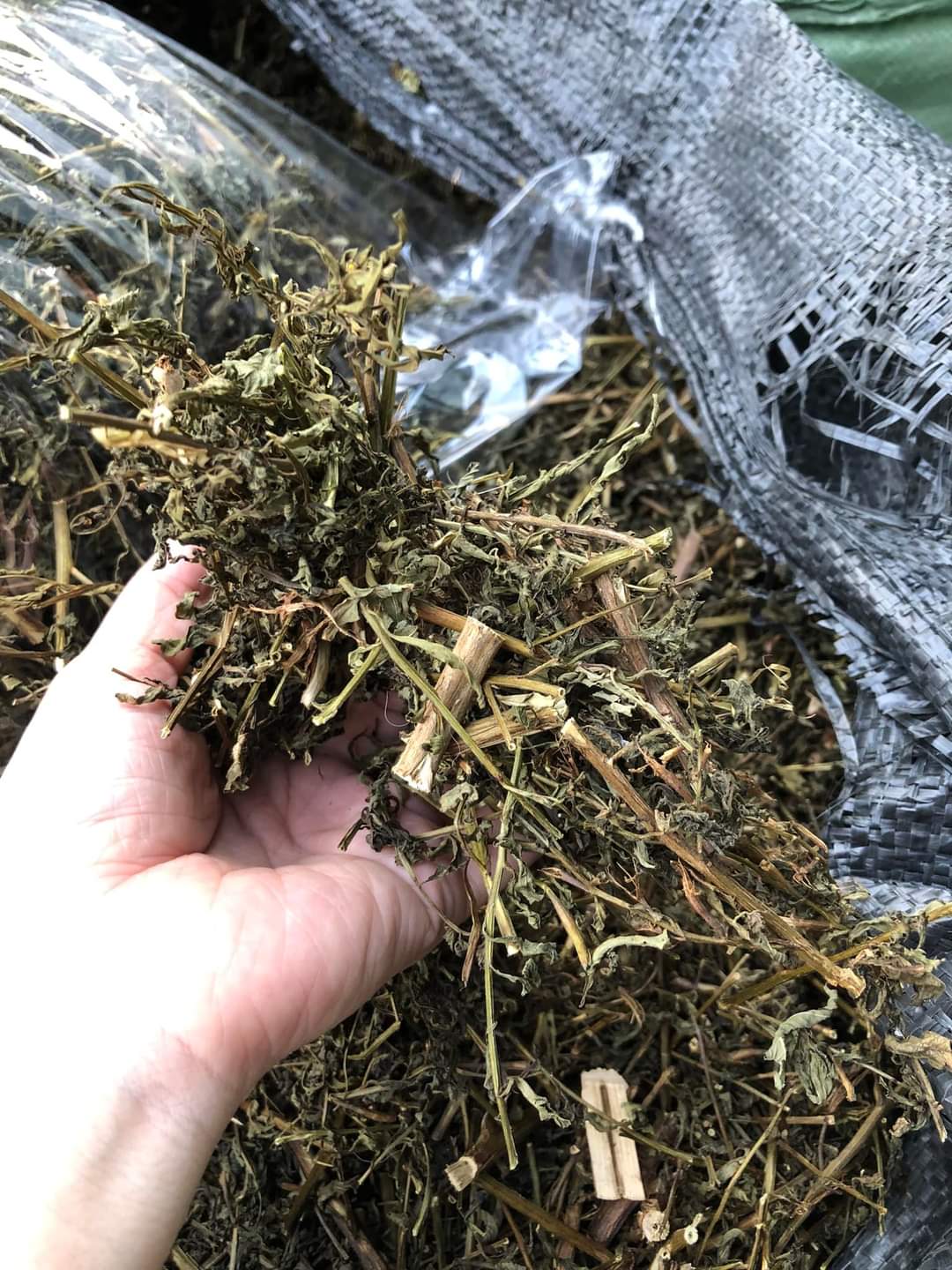 (Dược liệu khô) Cây Rau Mương phơi khô 500g