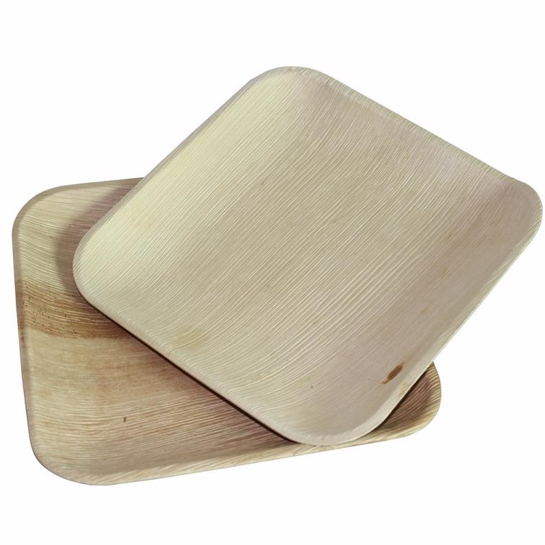 [HCM]Đĩa dùng một lần bằng mo cau DV25 (SET 10 Đĩa)