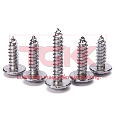Vít bắt gỗ inox 201 chỏm cầu to M5 (Túi 10)