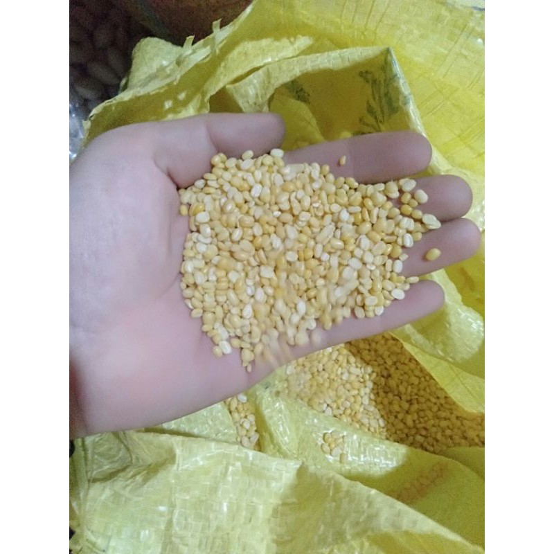 đậu xanh loại ngon