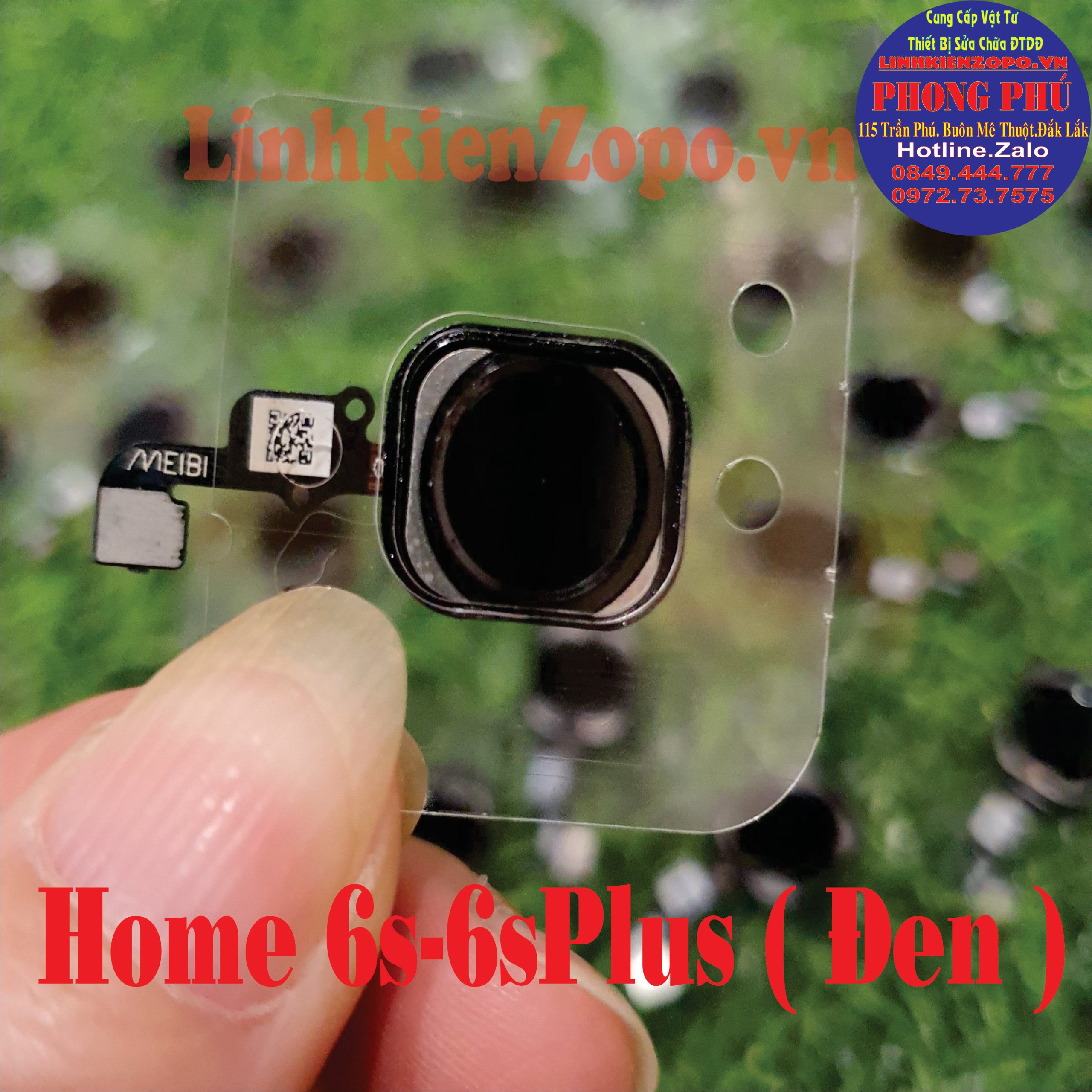 Nút Home Vật Lý iPhone 6G-6plus ( Trắng - Đen )
