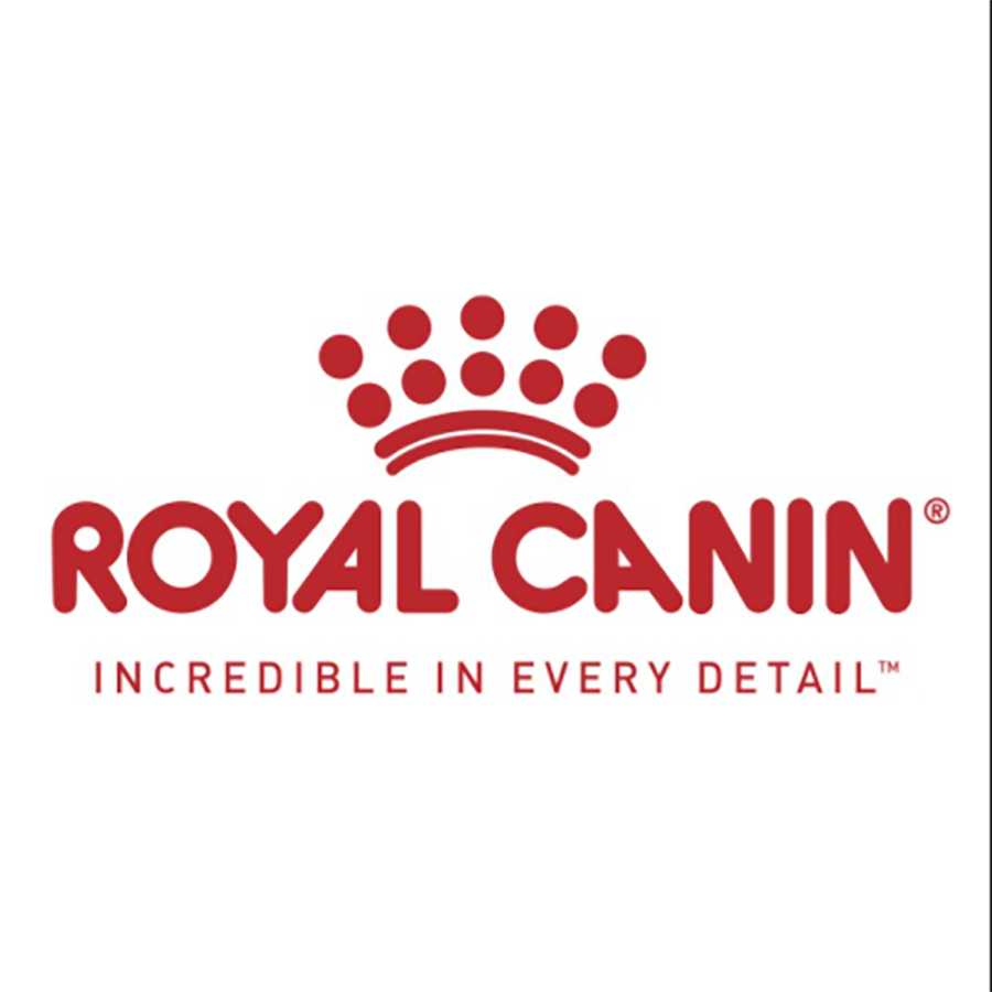 Thức ăn hạt cho mèo con Royal Canin Kitten 400g