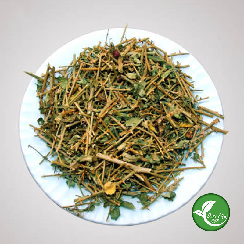 Cây cà gai leo khô (1KG) - DL025