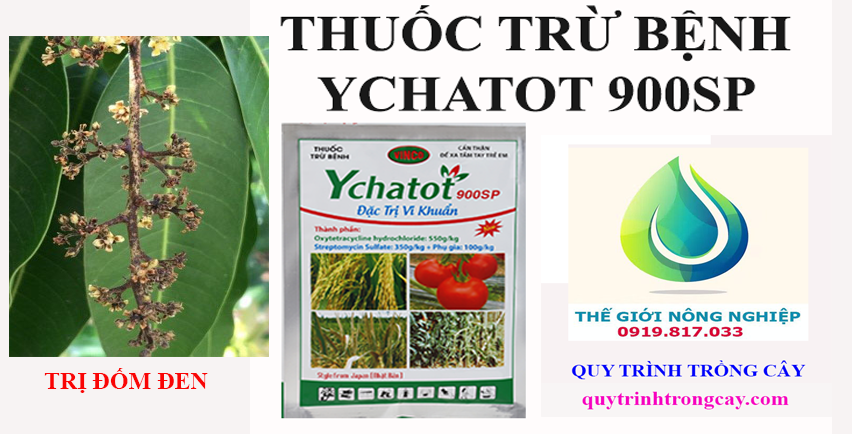 Ychatot 900sp TT-speciality for black cotton on mango plant