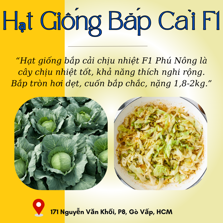 Hạt Giống Bắp Cải F1 Phú Nông (Vườn Sài Gòn - Vuon Sai Gon)