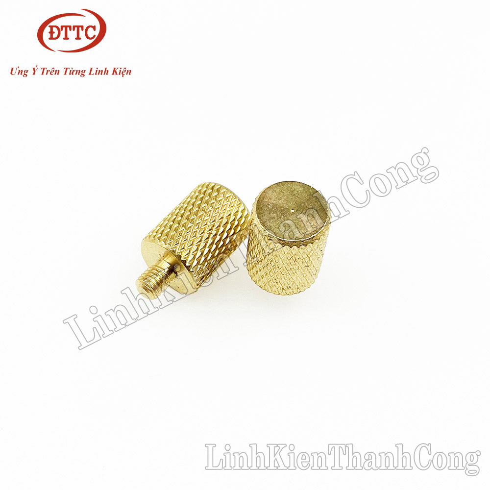Cọc Đồng Bình Acquy Ren M5 M6 (1 Chiếc)
