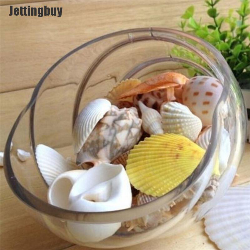 100g Beach Mixed SeaShells Sea Shells Shell Craft SeaShells Aquarium Decor Random