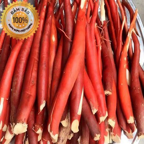 Sâm cau đỏ - Sâm cau rừng tây bắc - Sâm cau tươi 1kg