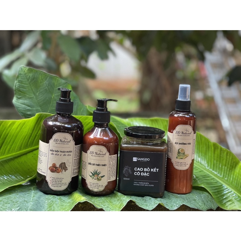 DẦU GỘI BỒ KẾT [Combo 4 món]