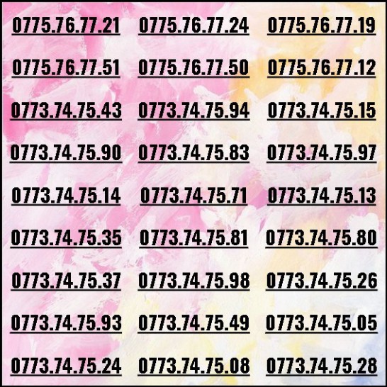 [HCM]Sim tiến phong thủy 73.74.75 dễ nhớ
