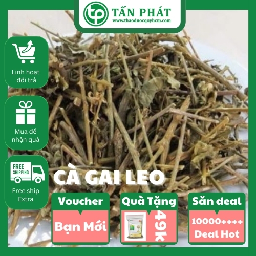 Cà gai leo 1kg cao cấp