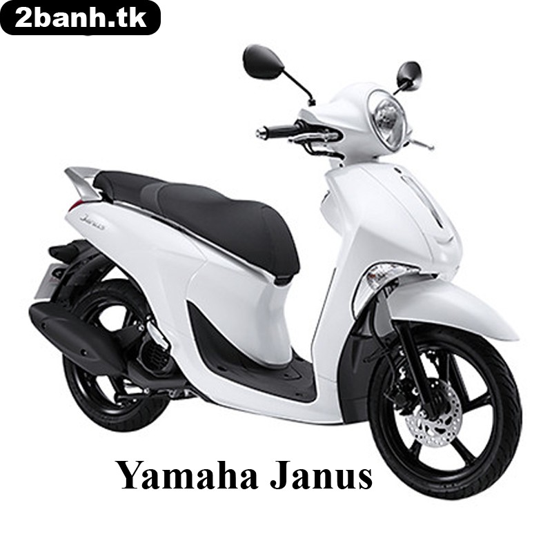 Thảm lót chân dành cho xe Janus