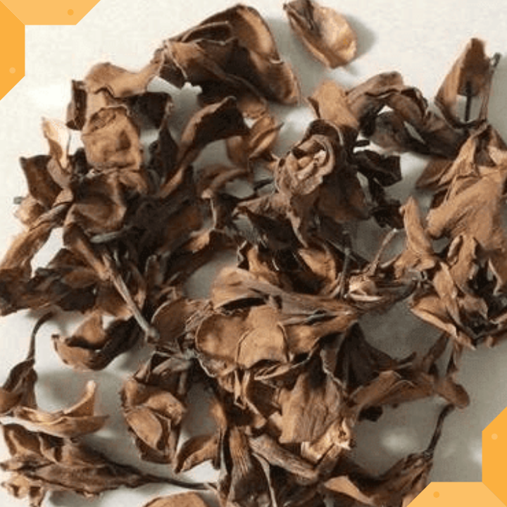 BÔNG SỨ KHÔ - 1 KG