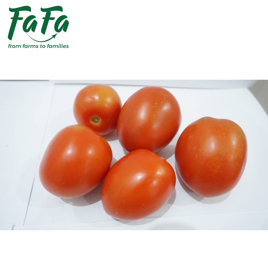 Cà chua Đà Lạt FAFA 500gr/túi