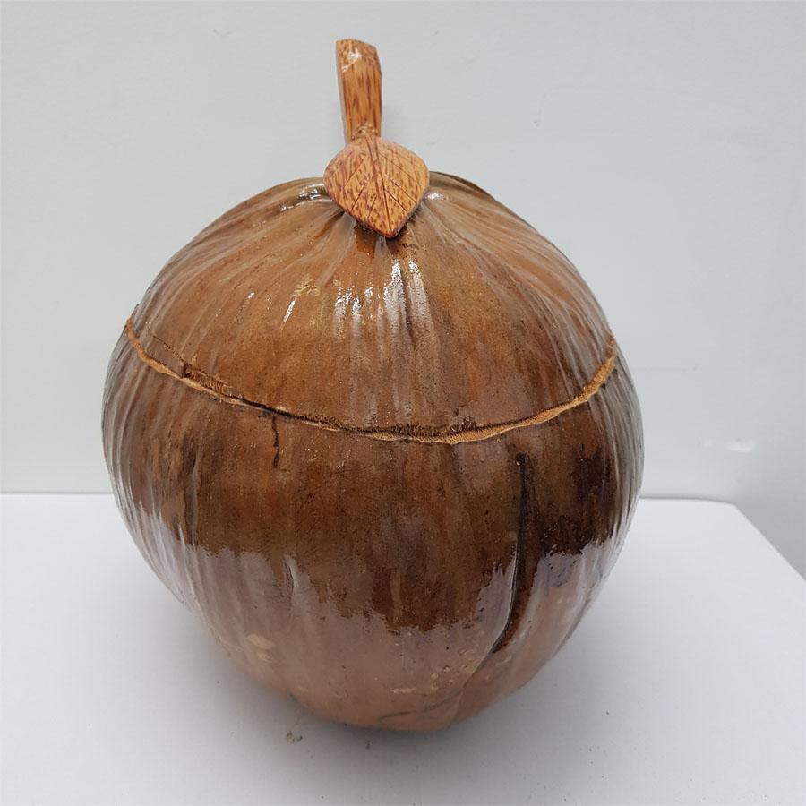Vỏ đựng bình trà trái dừa ( nắp chiếc lá)