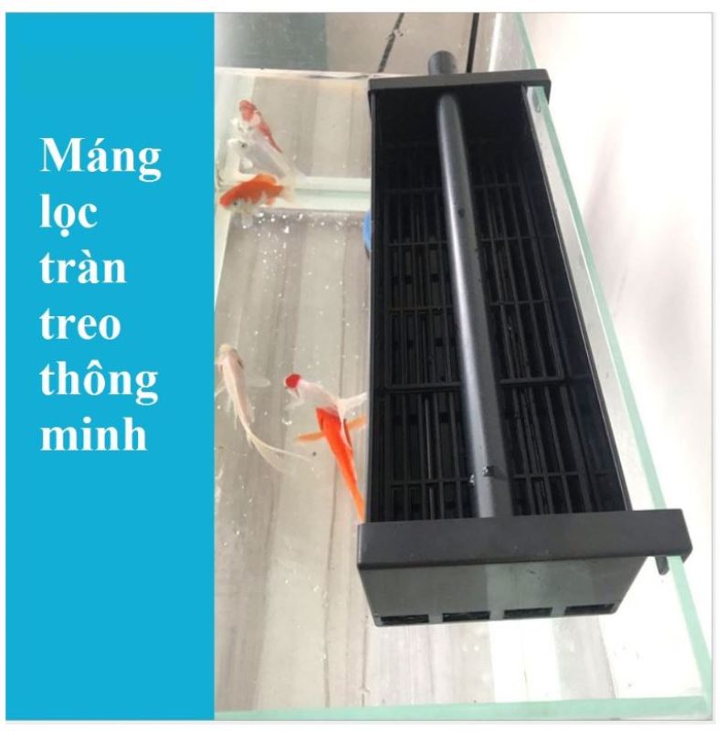 Máng lọc tràn trên treo kính bể cá (nhiều size)