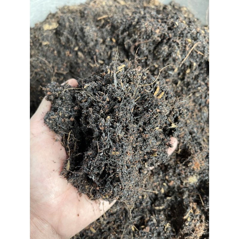Đất trồng sen đá trộn sẵn (1kg) Đất chuyên dụng cho sen đá