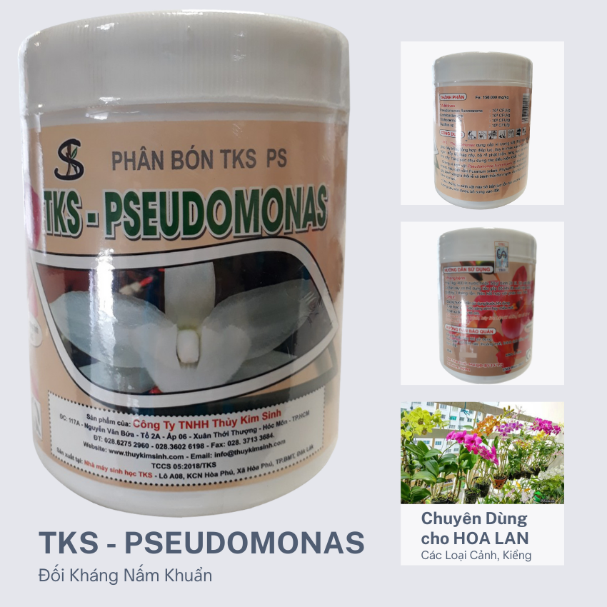 [LON 1Kg] PSEUDOMONAS HOA LAN - Thủy Kim Sinh