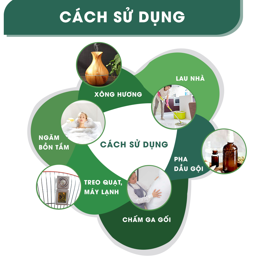 Tinh Dầu Aroma Sả Gừng Cold - 10ml/15ml/30ml/50ml