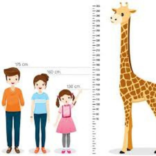 Tăng Chiều Cao Great Height - TS01