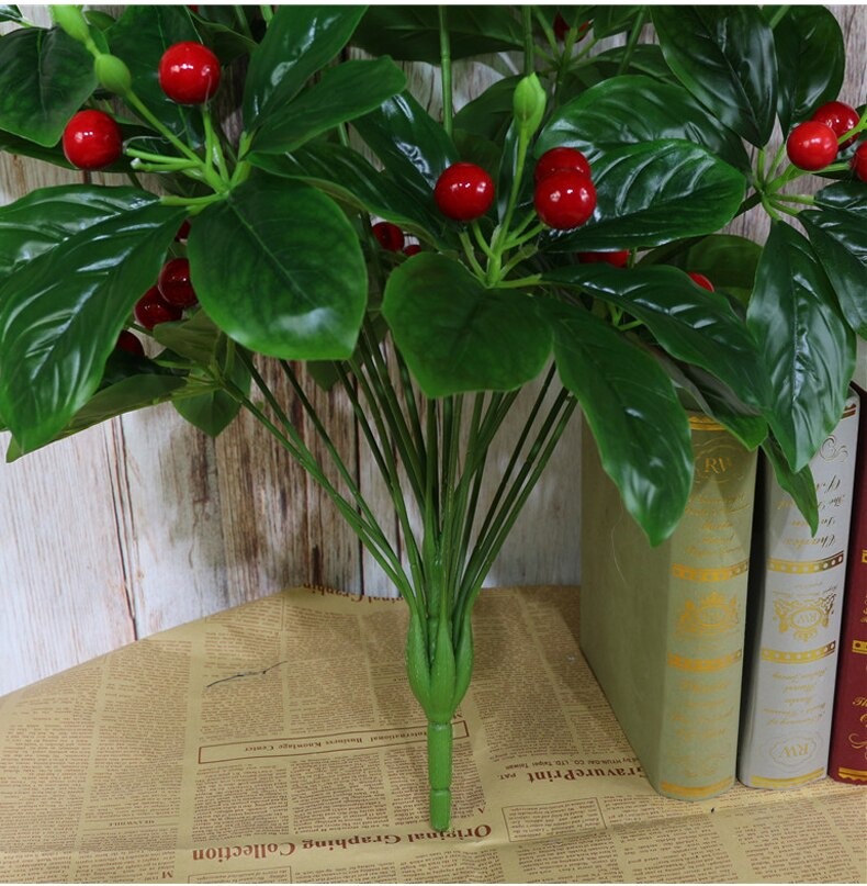 Cây quả sơ ri cao 70cm chưa chậu