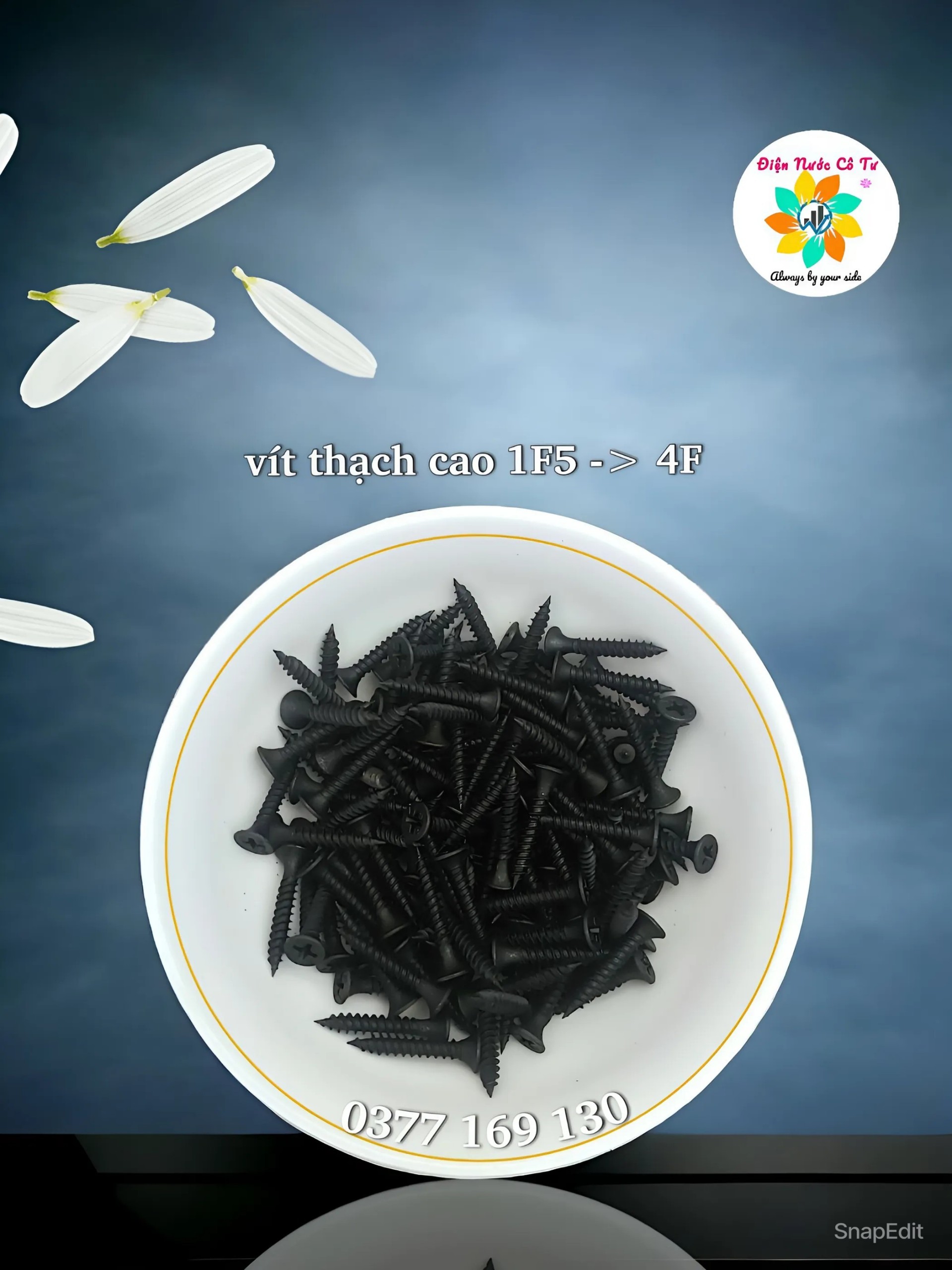 100 gram Vít Đen Bắt Thạch Cao/ Bắt Gỗ