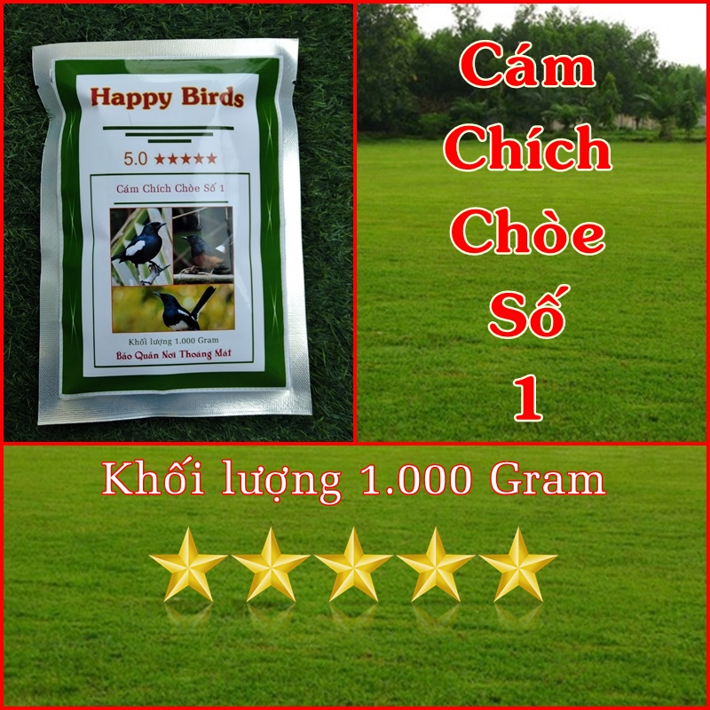 Túi 1kg Cám Chim Chích Chòe Số 1 Và Cám Chim Chào Mào Số 1. Loại Chất Lượng Cao Happy Birds