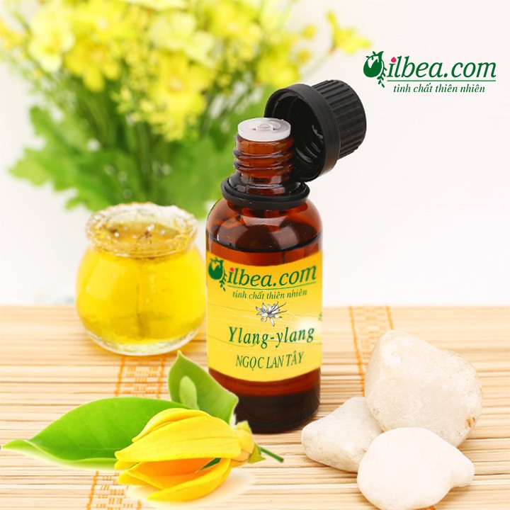Tinh dầu ngọc lan 100ml