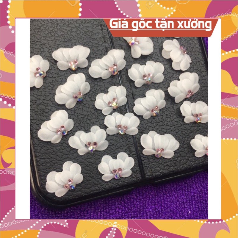 Hoa bột nail (cúc nửa ) hoa bột giá sỉ