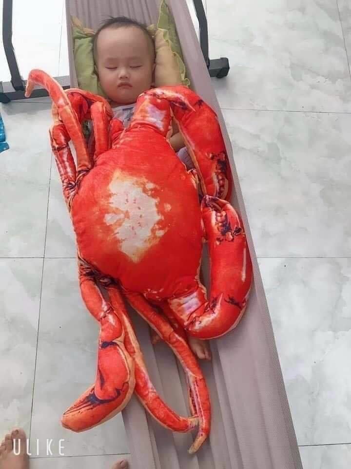 Gấu bông tôm, cua 3D giống thật