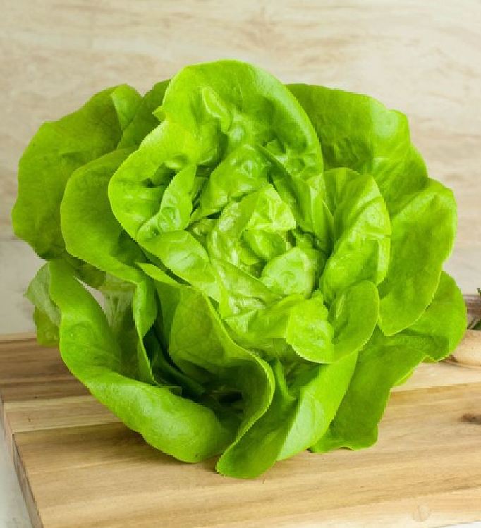 Hạt Giống Xà lách đăm xanh( 2gr/gói )