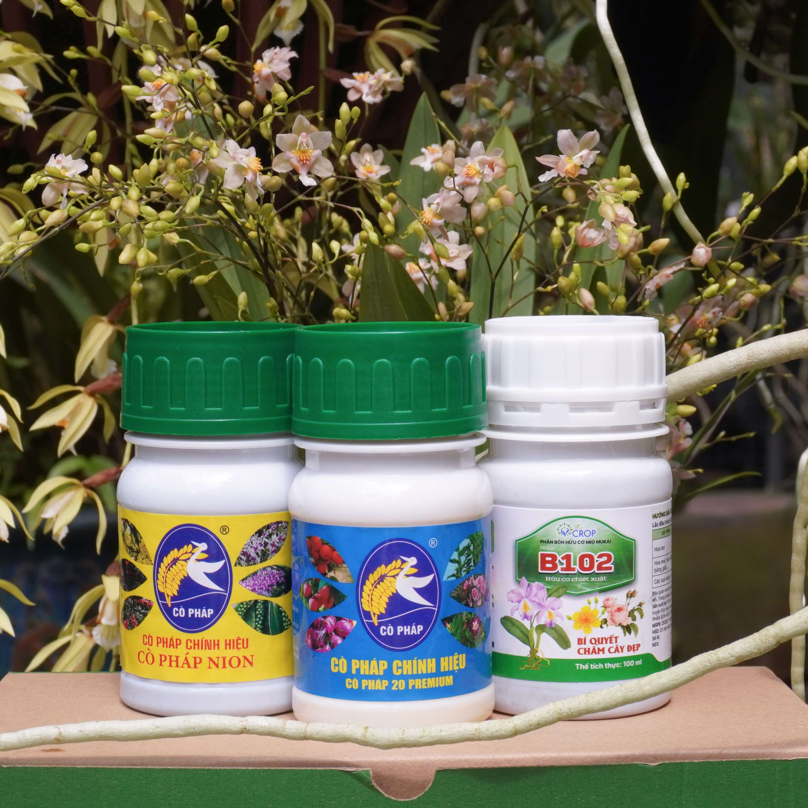 COMBO8 100 - Phân Bón Chăm Hoa Lan, Cây Cảnh Ở Mọi Giai Đoạn (100g/ml/chai)